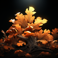 CALIFORNIAN NIGHTS - N°676 – Herznote