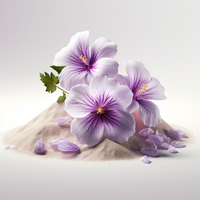 AURIANA - N°333 – Basisnote